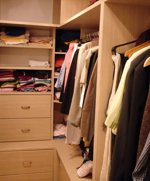 Closet Design Companies Bellevue, WA